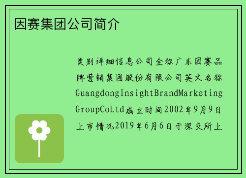 因赛集团公司简介